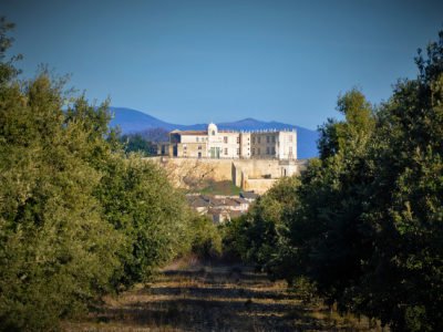 Château de Madame de Sévigné à Grignan